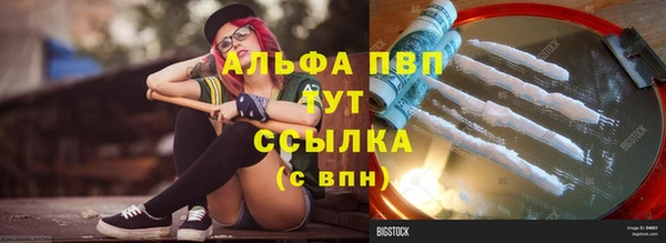 крисы Великий Новгород