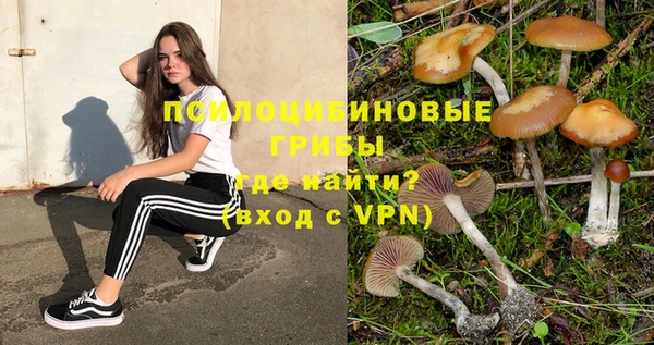 амф Лагань