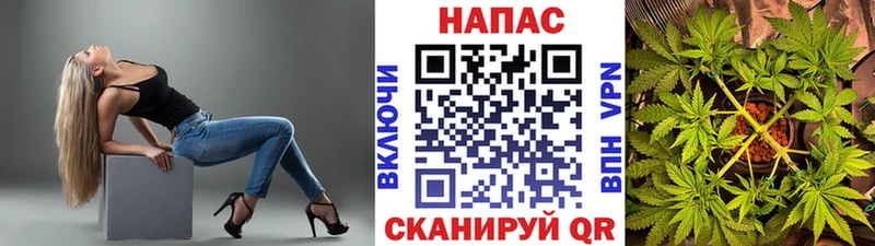 Конопля планчик  Тырныауз 